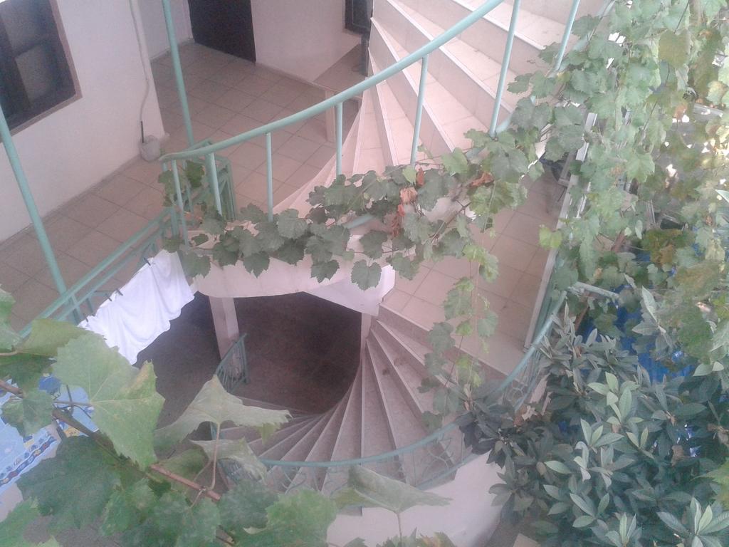 Maxim Mini Hotel Batumi Bilik gambar